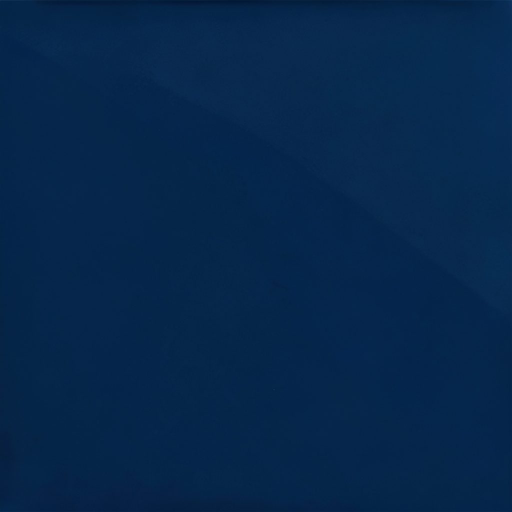 Circular emblem badge in deep navy blue and white, featuring a stylized geometric motif